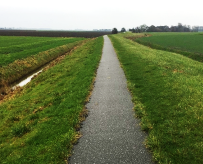 Meer biodiversiteit in Waadhoeke