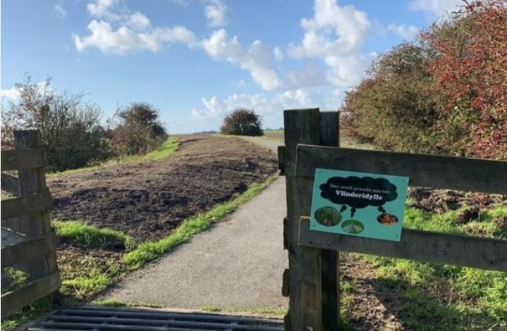 Schooljeugd zaait vlinderidylle Minnertsga in