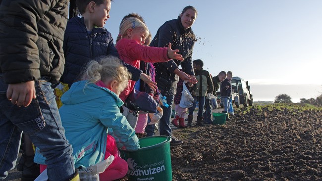 Griene Dyk tussen Minnertsga en Sint-Jabik wordt vlinder idyllé