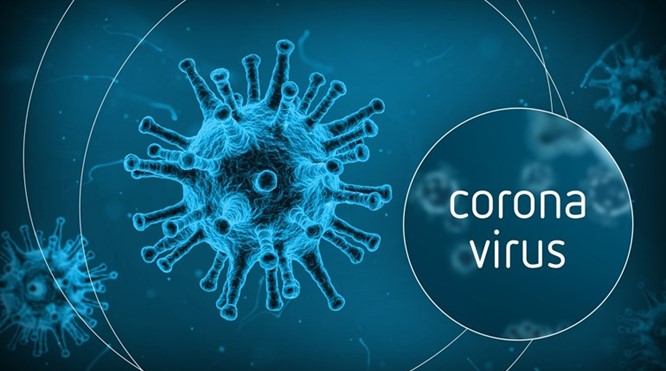 Actuele informatie Gemeente Waadhoeke betreffende het Corona virus
