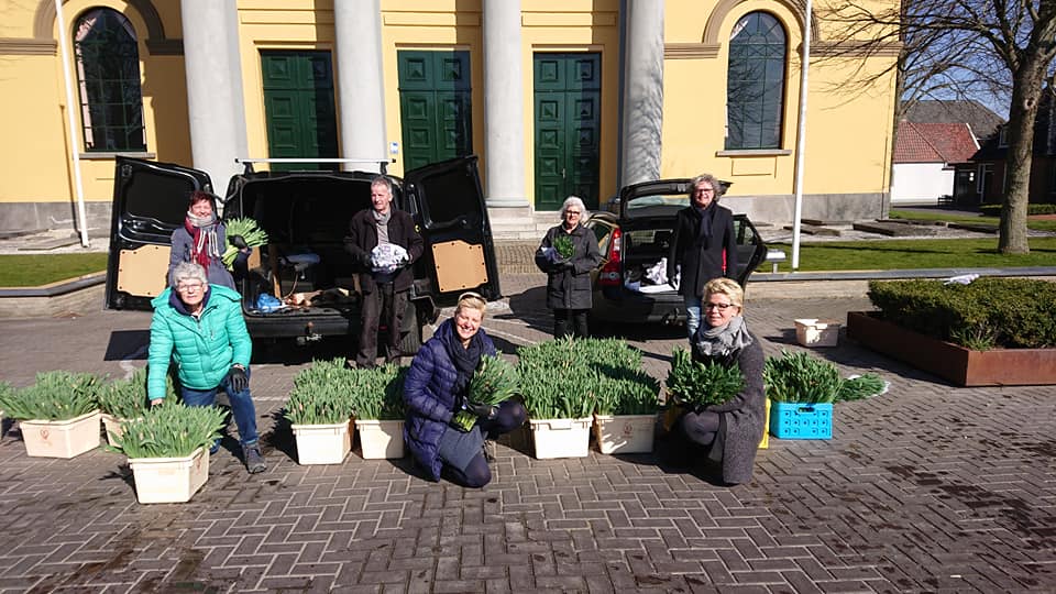 Bos tulpen voor heel St.-Jacob