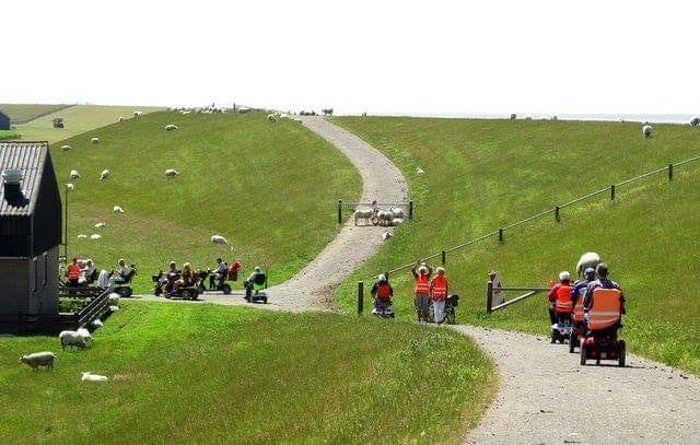Motormuzen en een speelgoedkraam