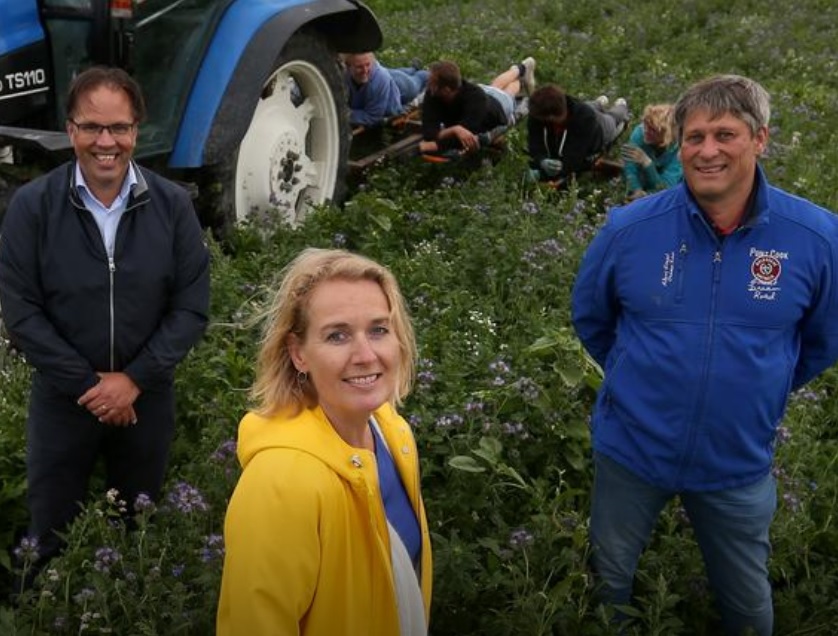 Plukgeluk op de Bildtse klei