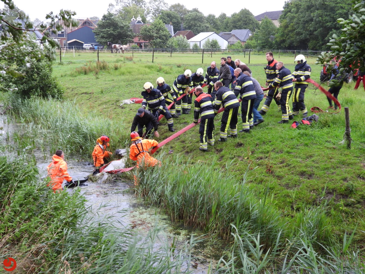 Brandweer redt paard uit sloot