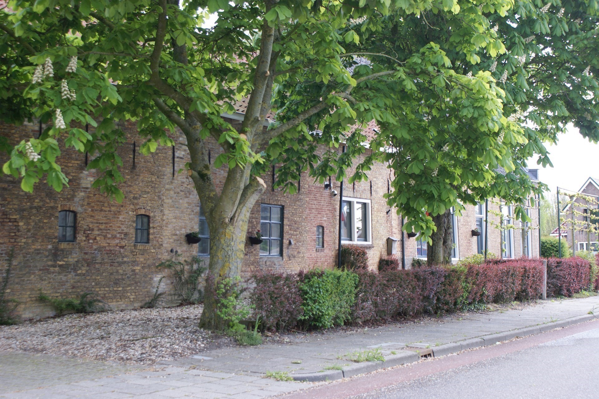 Bomenkap in St.-Jacob half november