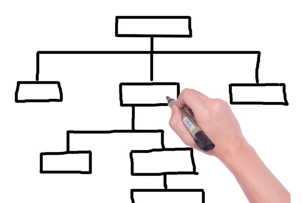 Op zoek naar voorouders