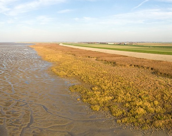 Uitnodiging in hun brievenbus of Inbox voor een online bijeenkomst over een ‘proef’ in kwelder Westhoek