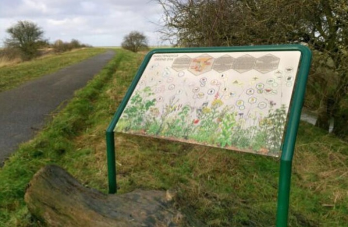 Informatiebord insecten-idylle langs Griene Dyk