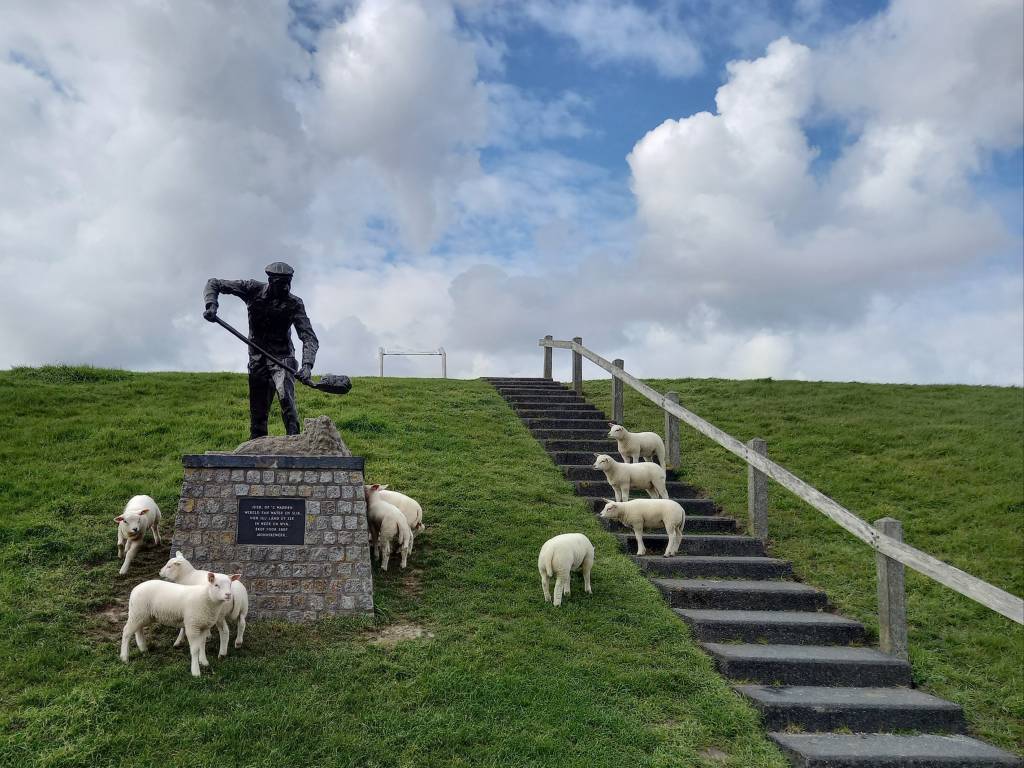 Nachtbeleving Zwarte Haan onzeker na kritiek raad