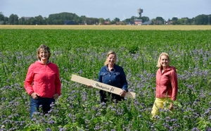 De Pluktuin gaat weer open