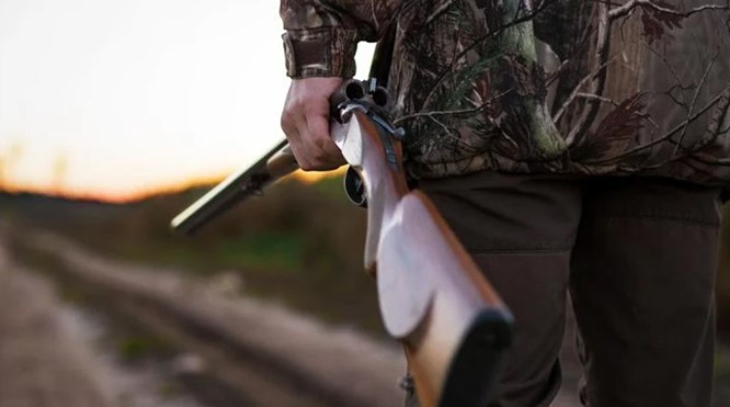 Vrijspraak voor jager die met één schot twee rotganzen doodde in Sint Jacobiparochie. 'Nooit eerder gebeurd'