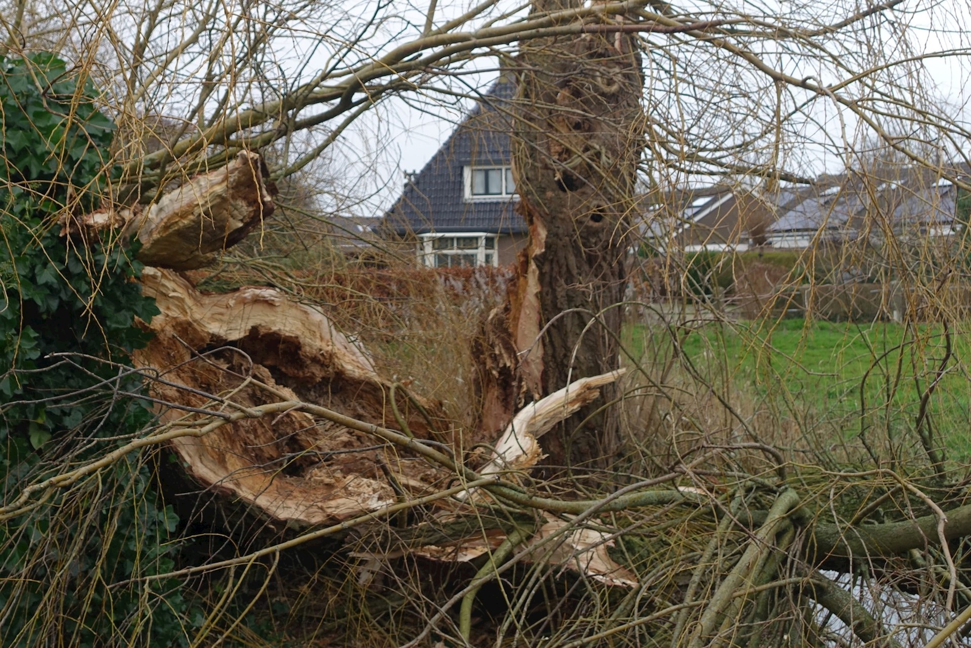 Storm Pia richt schade aan in St.-Jacobiparochie