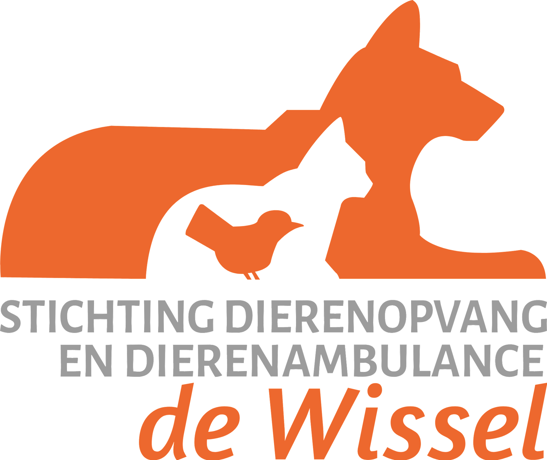 Stichting Dierenopvang en Dierenambulance de Wissel zoekt collectanten in St.-Jacobiparochie